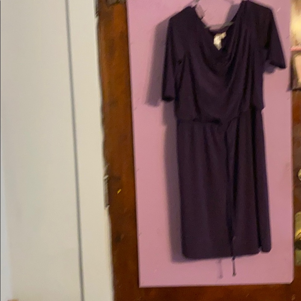 Casual  plum  drawstring , elastic waist dress